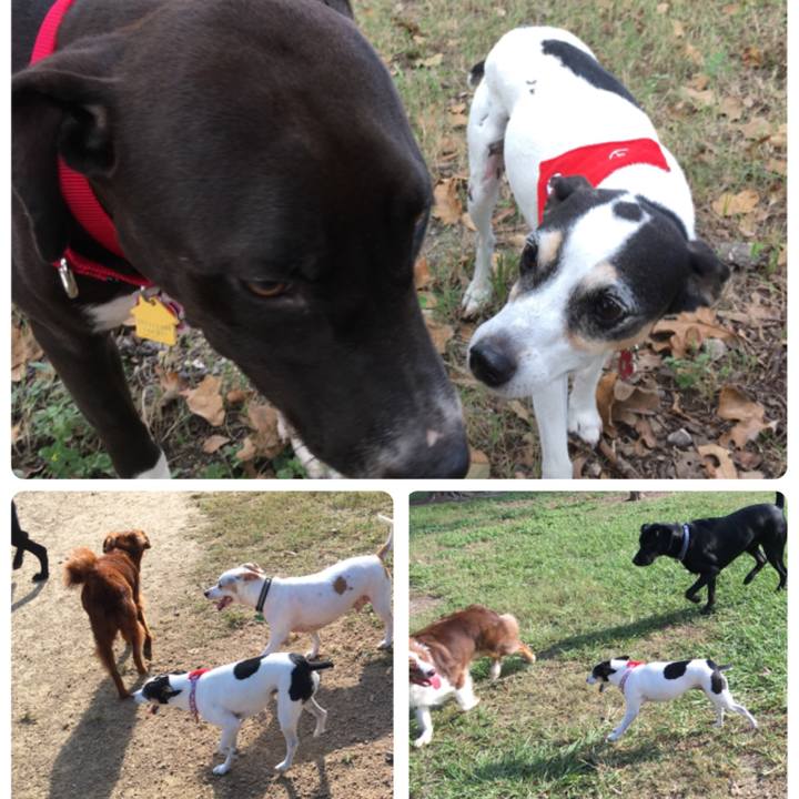 Cfdf1461 c40b 44e5 923d 9a27dabebe50