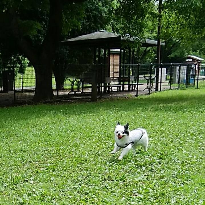 Cfdf94c3 2e17 458b b8ac 704cde74c5d4