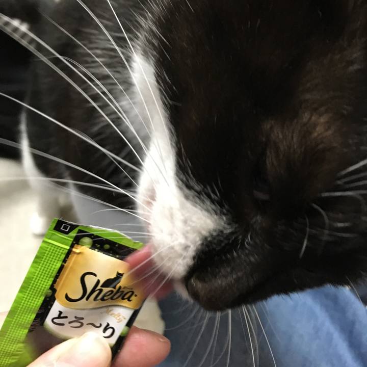 Cfdfe090 0f9b 4ec3 91ed d4038d475d07