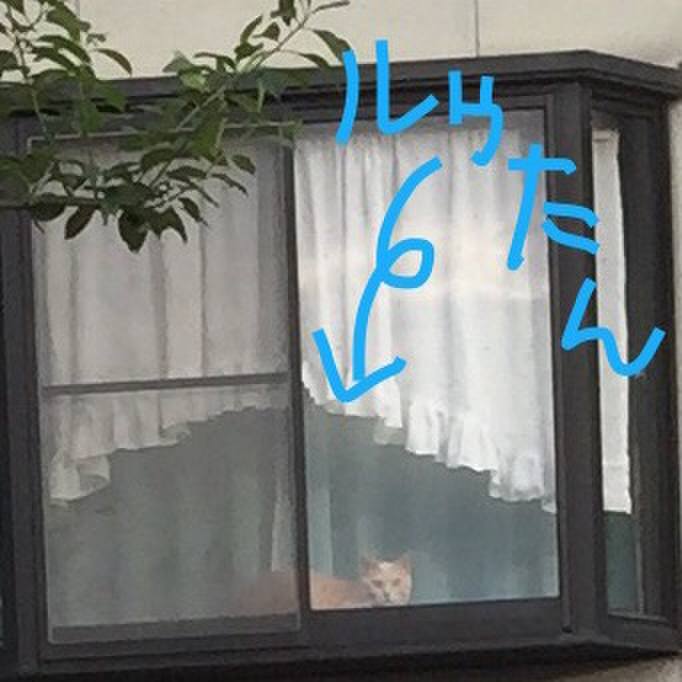 Cfdfeafb a254 4ea9 a0d8 3f6daccb3b5d