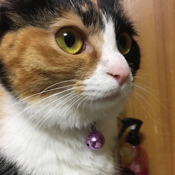 Cfe038fe c296 4a9d a0b6 4acec9852566