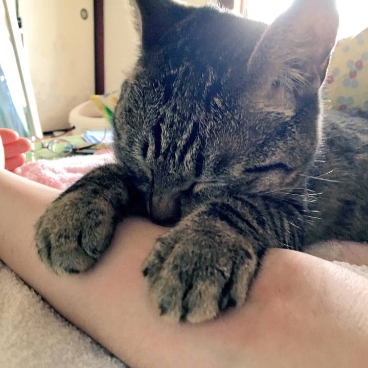 Cfe0623d 35ae 413b 94ef 6e1bdb036dc6