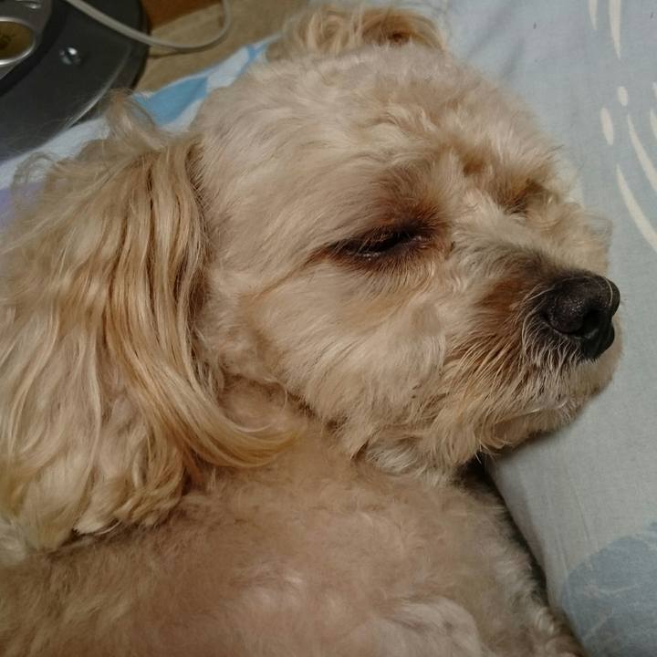 Cfe2634d 499c 485a 8ad4 140c5bd3ff6c