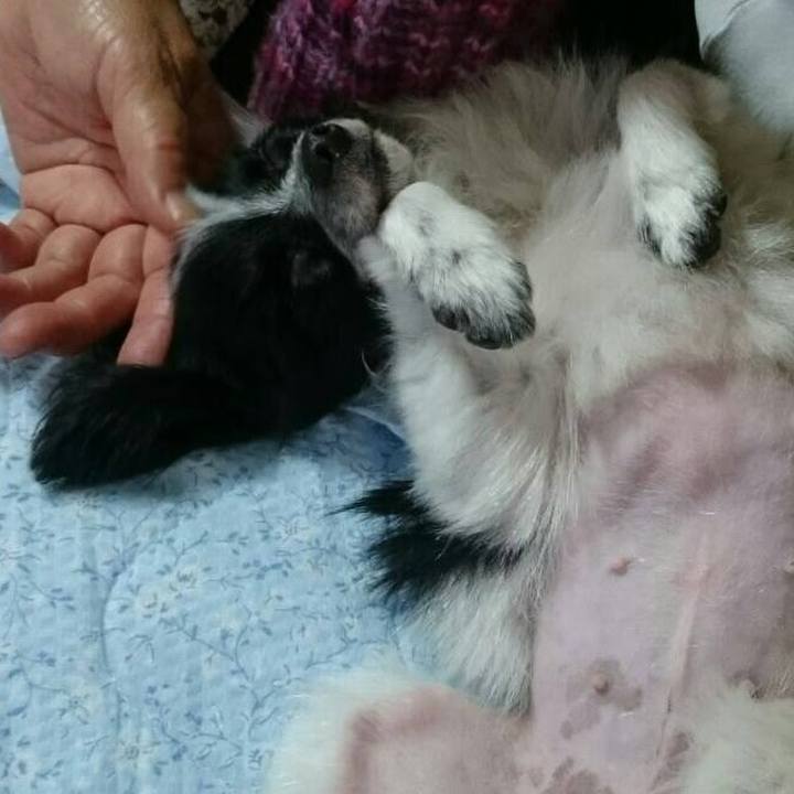 Cfe30442 7d74 4342 bcda 83afc22a5821