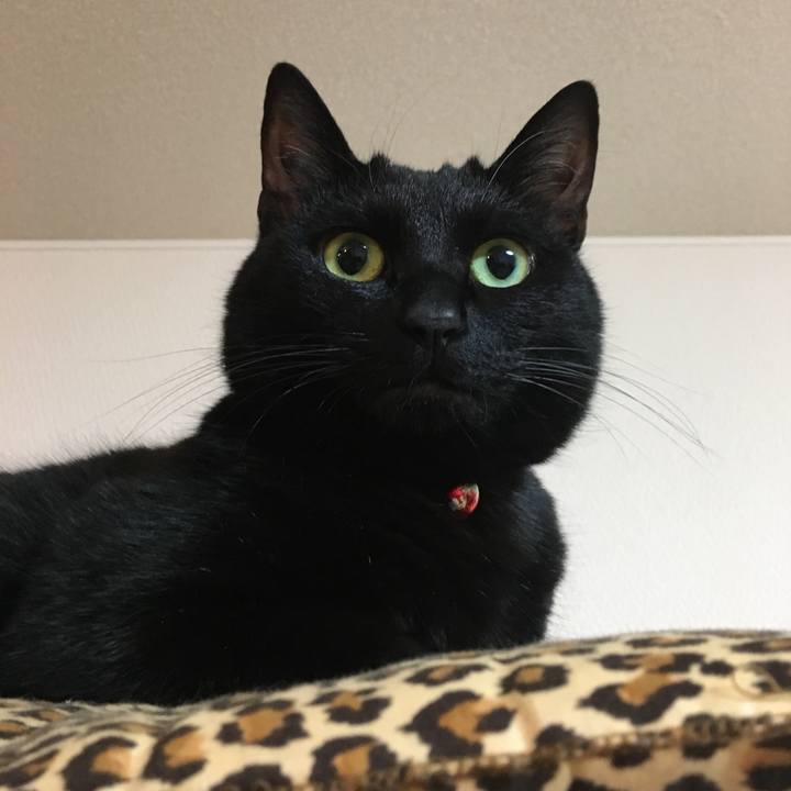 Cfe3453d f5d6 45b6 a249 aaeb7839161c