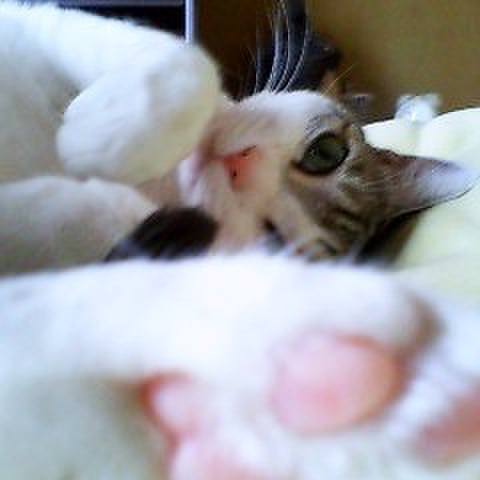 Cfe3e0f4 5a90 4067 8436 46aab21167b5