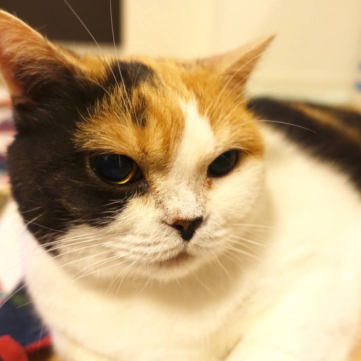 Cfe3ec69 b098 4e42 aeba 4f457b957390