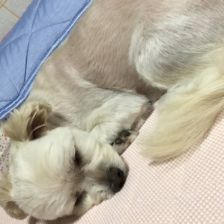 Cfe495c7 1e09 41bf b884 f3d8fd9fcdd2