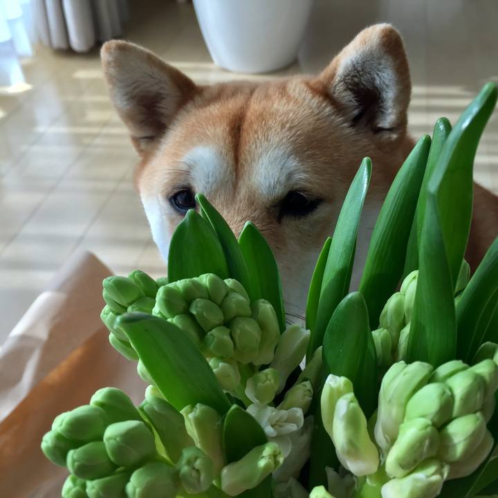 Cfe56398 42c7 40a8 a628 8da6344631b3