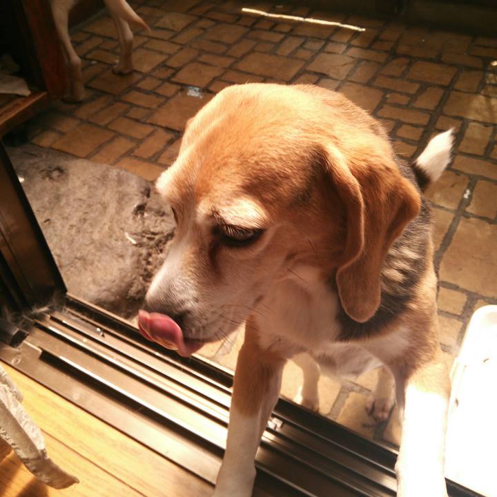 Cfe5d849 0b09 4709 88e8 bb22bcae7d77