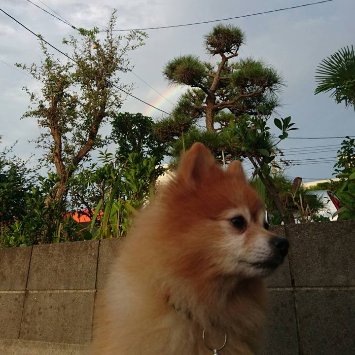 Cfe65a27 309b 4c77 bba7 e8be7bcfe0d0