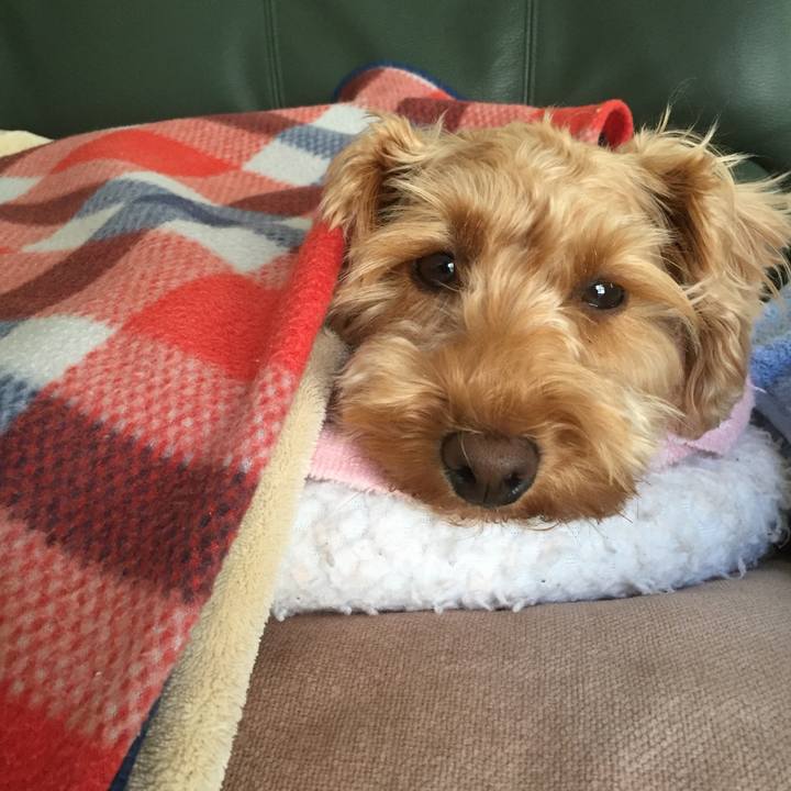 Cfe68187 89ed 4eb1 acc5 13d38b7fd76c