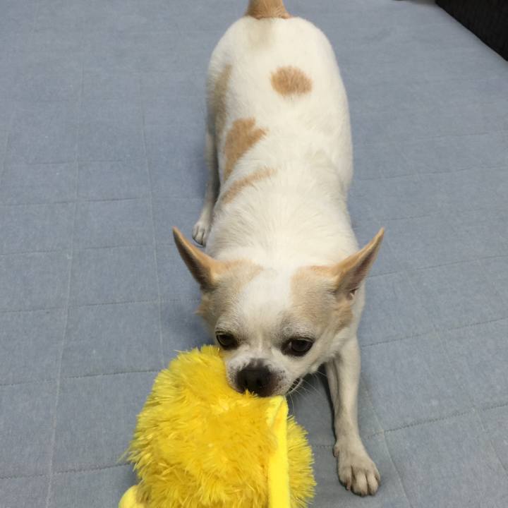 Cfe6ea5b 955d 4aab a17e f269005d1dff