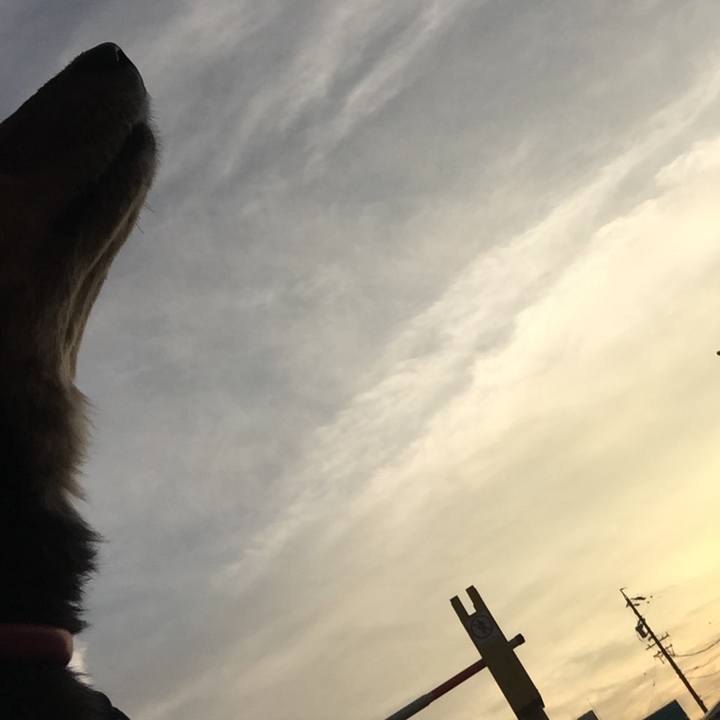 Cfe7e93f f2b6 4d10 b8e8 8d5d17734545