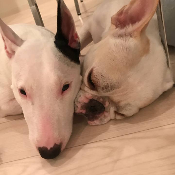 Cfe7f8ff ab19 476e 9d79 2ec1141bdfdc