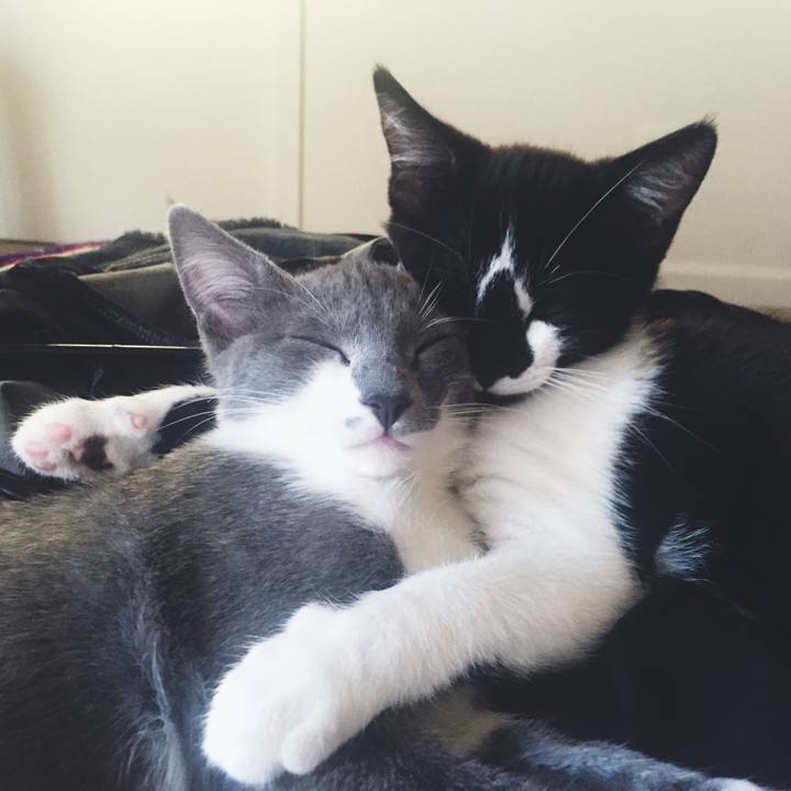 Cfe8666f 0e14 45b4 ae5d 72a8eaef1271