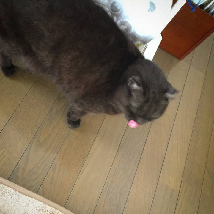 Cfe92251 9a8d 4c88 8f3f e9394c02e505