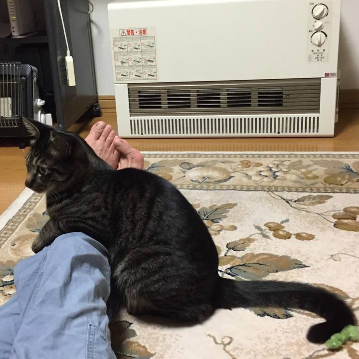 Cfe98296 3c7e 46b6 b7fe c19b5b5df6fa