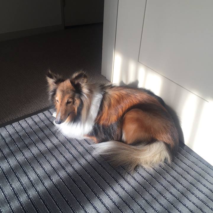 Cfea4921 8c4e 45a8 a639 c409aff4c6a2