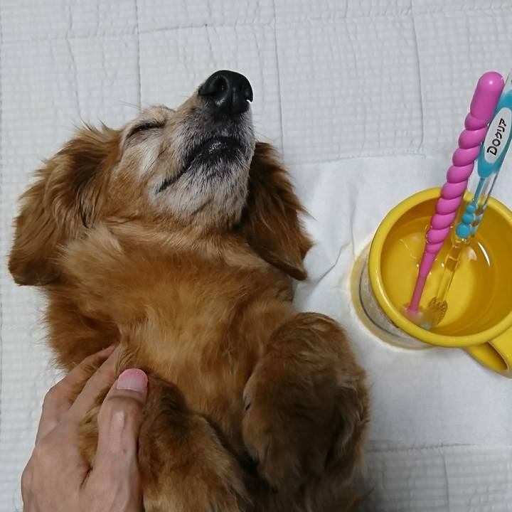 Cfea6e61 c082 4929 be23 509c00c42b16