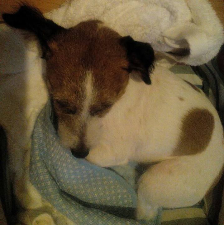 Cfeb002b e165 4b30 aff4 1765406377e5