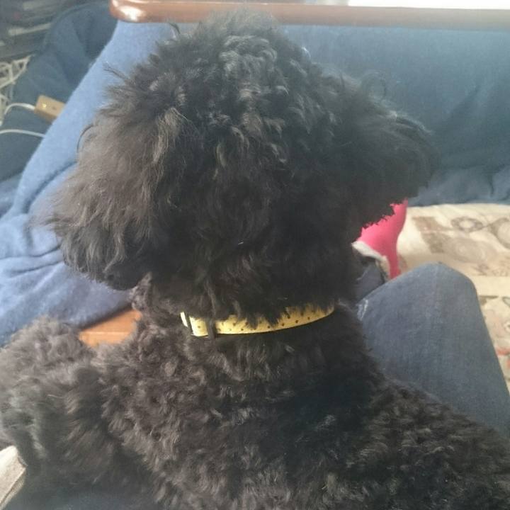 Cfeb1898 0d38 4a82 81b5 641b23255a1b