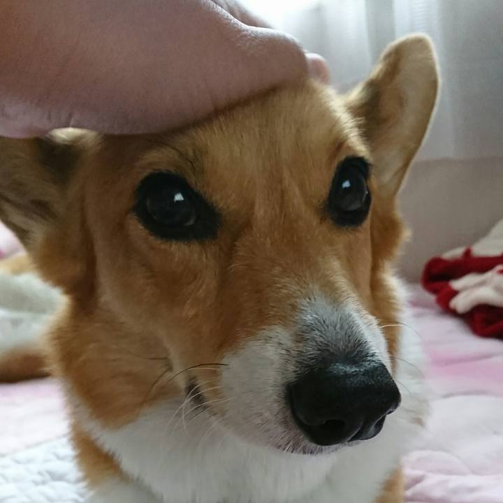 Cfeb2b80 4ef6 4410 a064 4bb51624f893