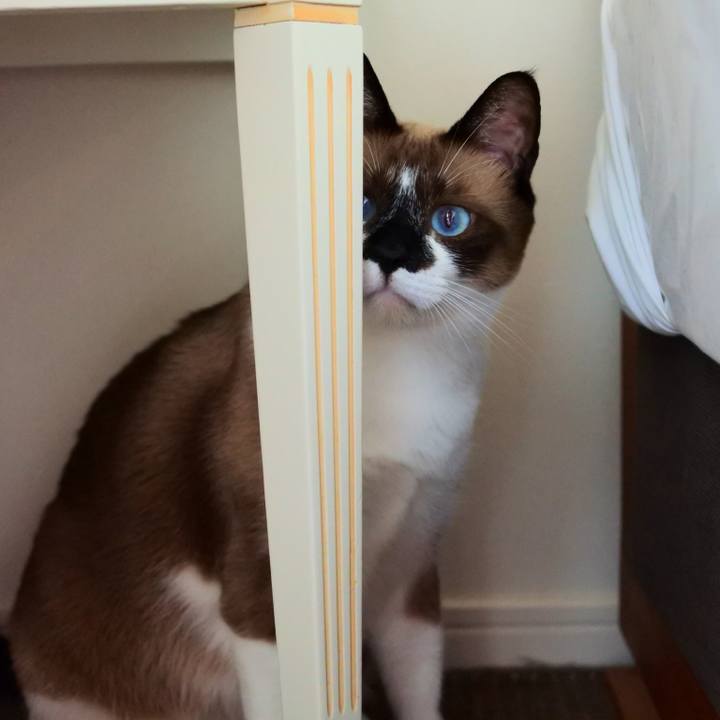 Cfeb500e 570c 4e1e b6b9 fad98972dc3b