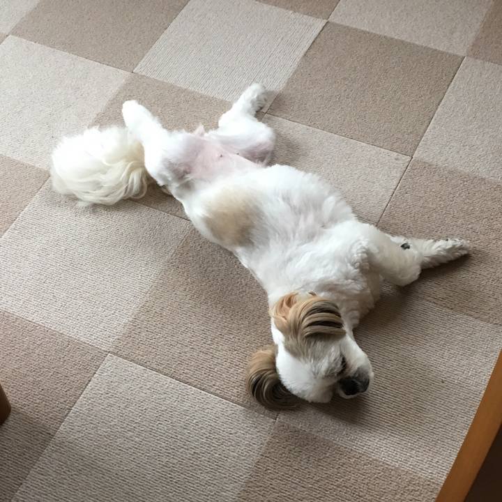 Cfeb85fb cff7 4f89 bc5f 73f2a3df6bb2