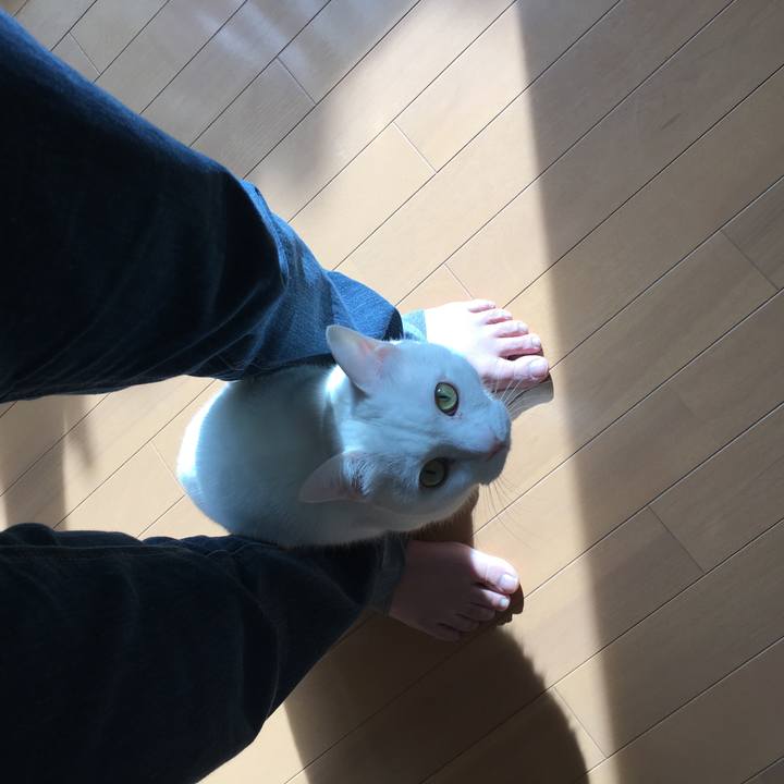 Cfebafd7 c250 4b08 a6a3 3585469c279e