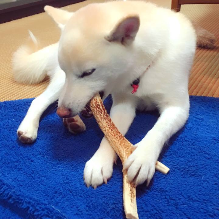 Cfebcfaa 3f57 4faf b2c1 c0be20b66fa4