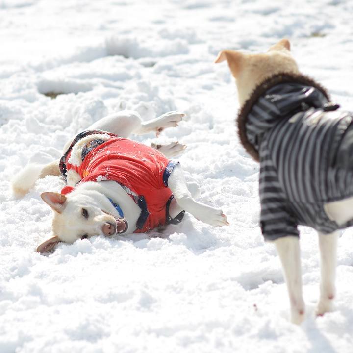 Cfec9c16 7a1e 4815 bd35 de185dadc293