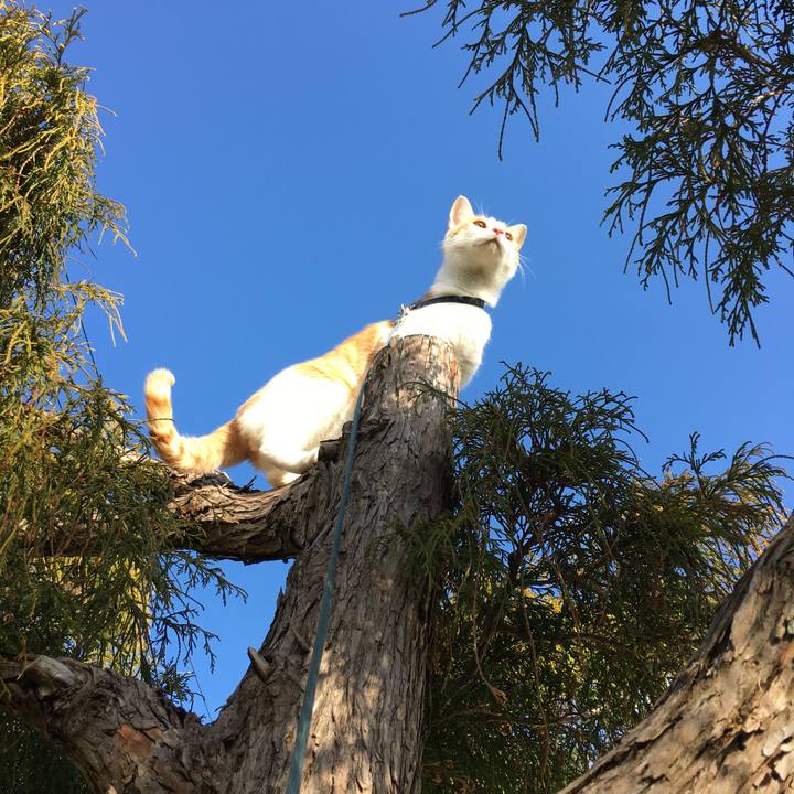 Cfecb6eb 3847 4248 b6d3 426b3408c2fa