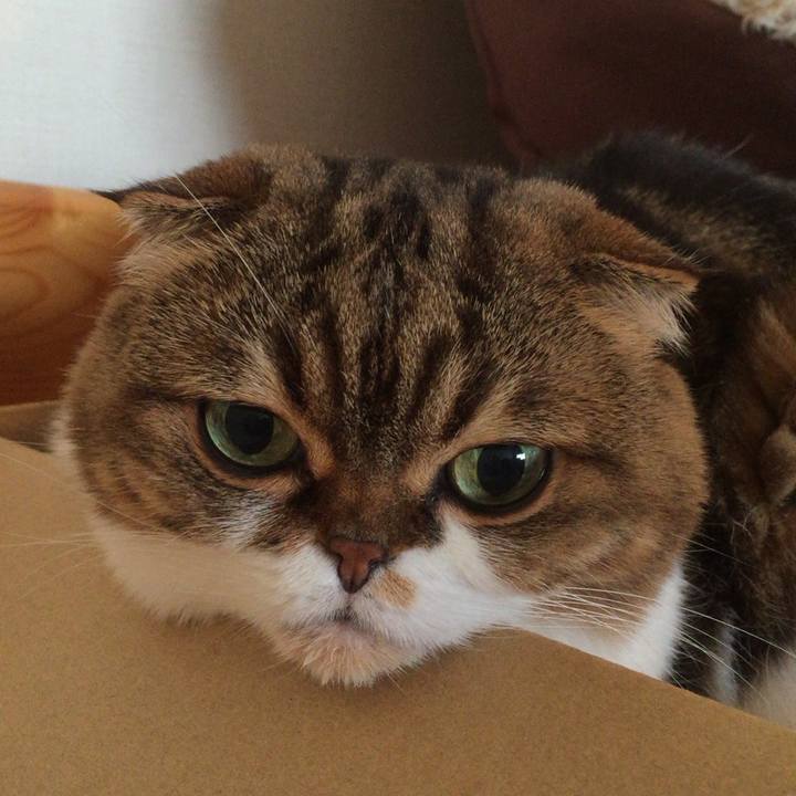 Cfed5f48 65e9 45da 9bc2 321cd40e82dc