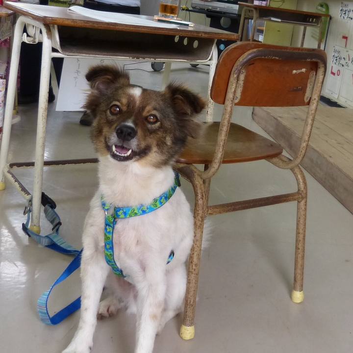 Cfed6444 0ed6 493d 89f4 1e8ee21d9007