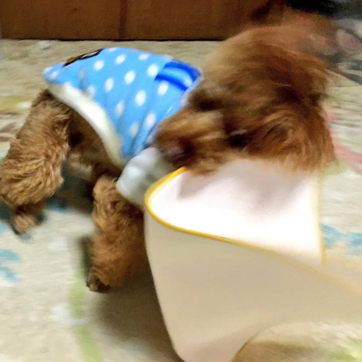 Cfed76b3 4cd8 43f6 81dc fd4c4fb699ad