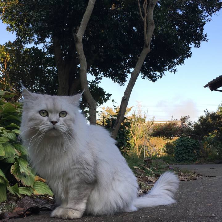 Cfed832d 6ff8 44fe bcf6 58c1cc7d4dbb