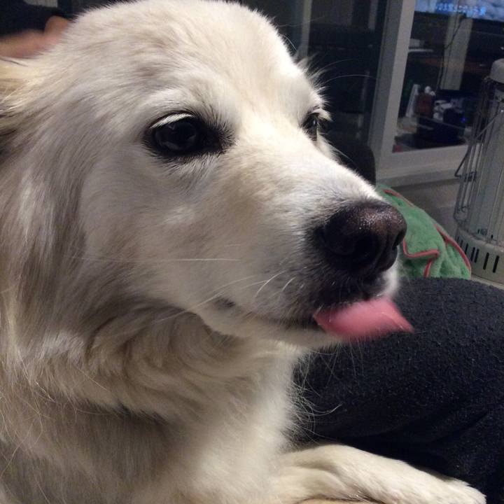 Cfedb2b1 76af 4121 9eef 04b00ccfe305