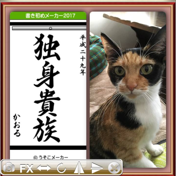 Cfee5bf3 5408 4afb a4f9 741147dc7207