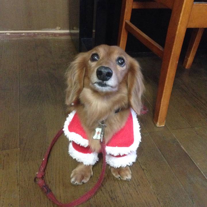 Cfeefe55 0ad1 42fa b051 2091b599da5d