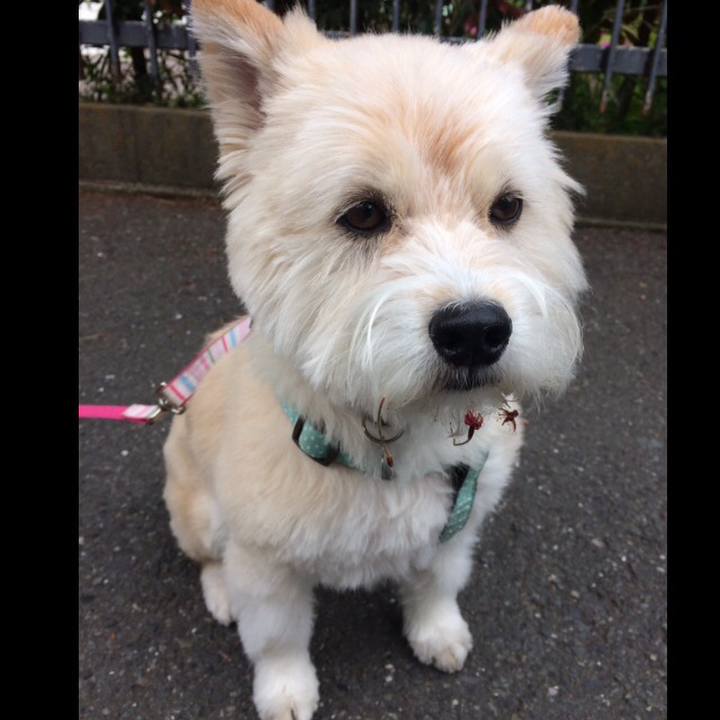 Cfef2d26 01aa 46cc 993a b6148be01801