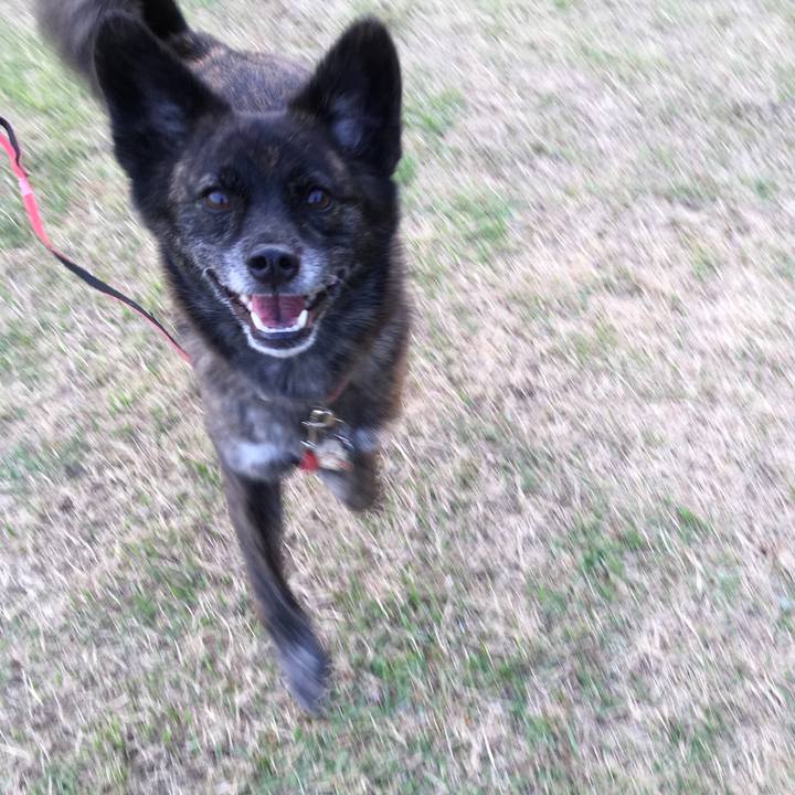 Cfef8fe8 579a 48e4 b01f 0b0c44bb1e05