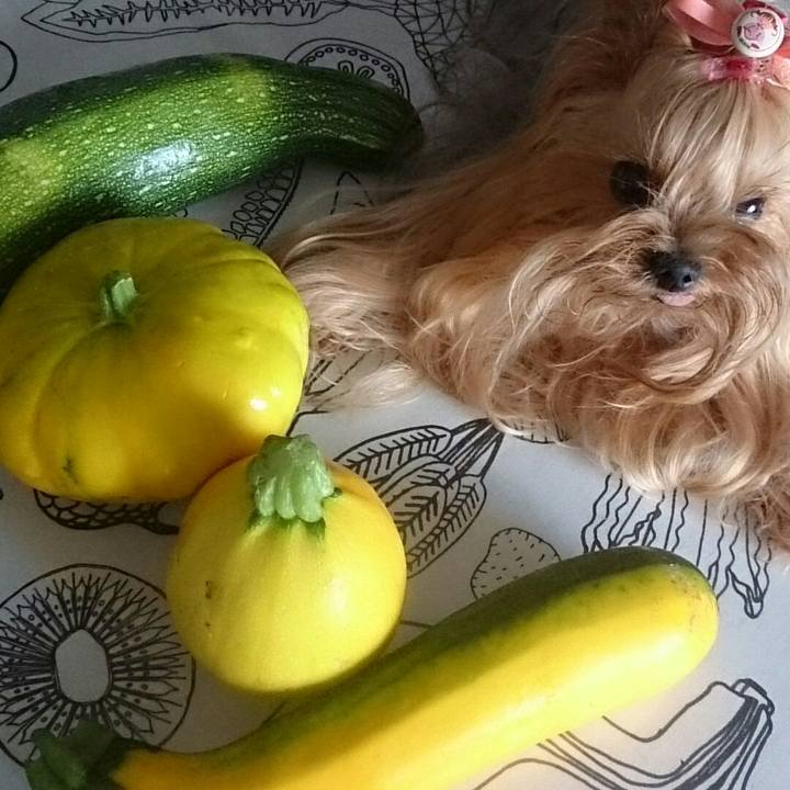 Cfefc97b 8d9f 4ca7 bb18 75ff643b28bb