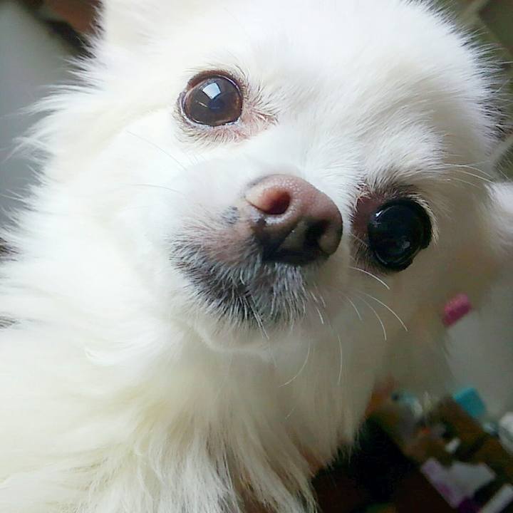 Cfefe909 9300 4780 a1f6 00ae006fd475