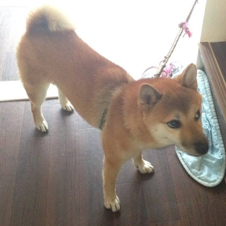 Cff07de4 71d5 458f b415 534aa674096b