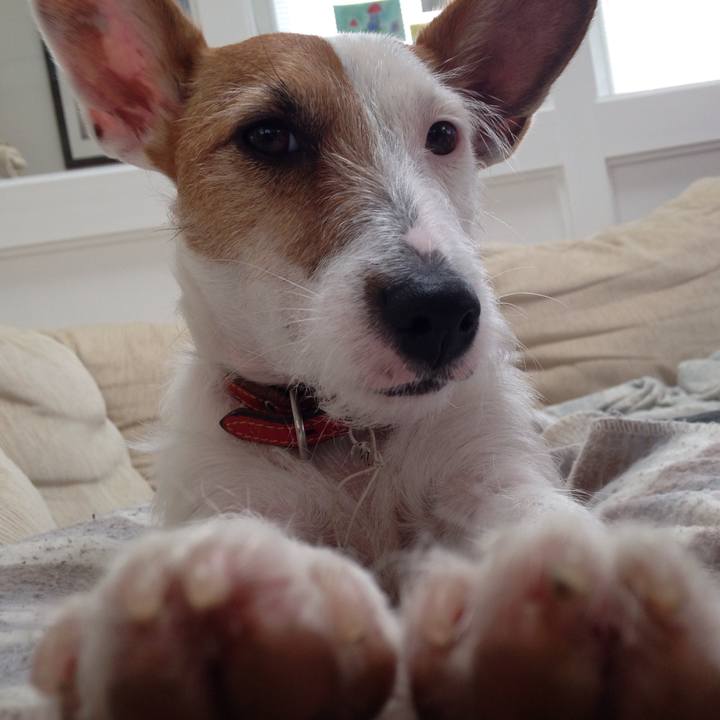 Cff1179e 8b19 4680 bbbf 21ba70233f1e