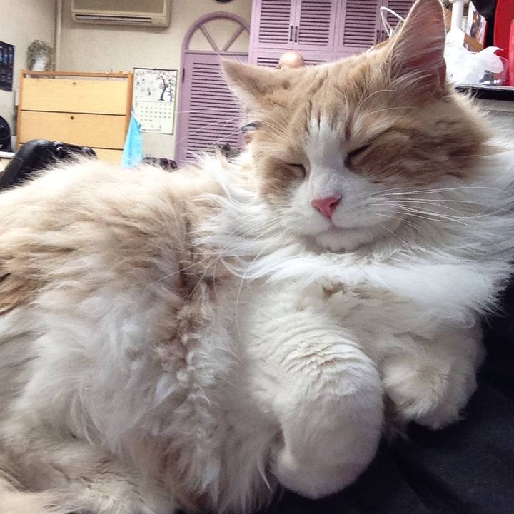 Cff18c81 a0cc 461e 833b 6f5ccd4e8ccc