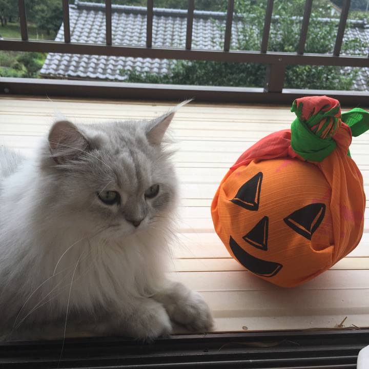 Cff2d839 af72 4b8d 91a6 763b9992c473