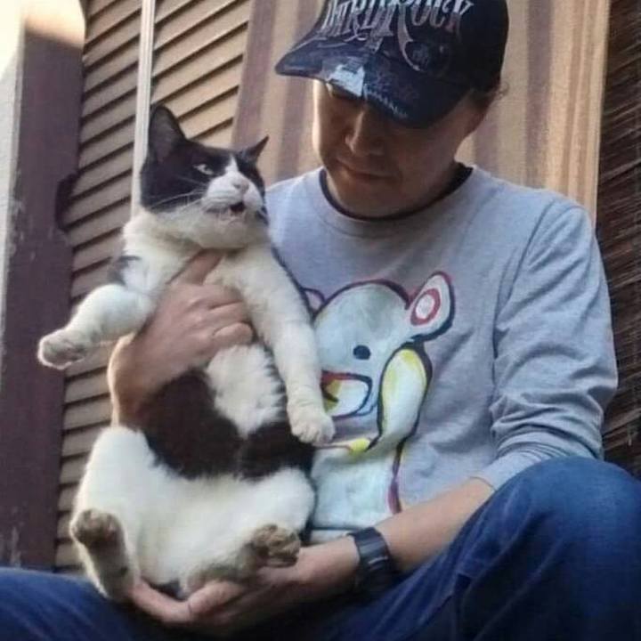 Cff3d8d5 c080 49e4 a87e 82946a71b67b