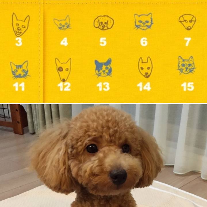 Cff3fd78 d926 4993 a94d 10d4557d78d4